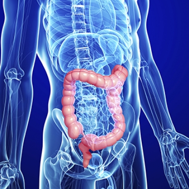 Doctors recommend a colonoscopy every 10 years beginning at age 50. It should be done earlier and more frequently if you had a parent, sibling or child with colorectal cancer. (Image: Thinkstock)