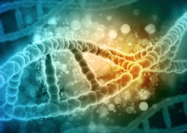 While many factors that determine your likelihood of developing cancer, like age, cannot be controlled, you can help prevent cancer by learning your family’s medical history and living a healthy lifestyle. (Photo: Penn State)