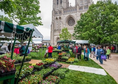 The Washington National Cathedral holds its annual Flower Mart from 10 a.m.-6 p.m. Friday and Saturday. (Photo: M. Joabar)