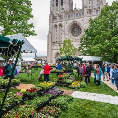 The Washington National Cathedral holds its annual Flower Mart from 10 a.m.-6 p.m. Friday and Saturday. (Photo: M. Joabar)