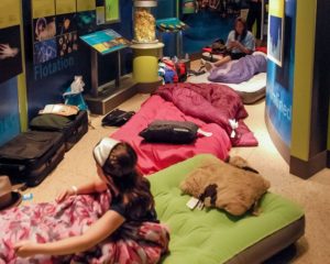 Kids can camp in the National Museum of Natural History Friday night. (Photo: Steve Hajjar/Smithsonian Associates)