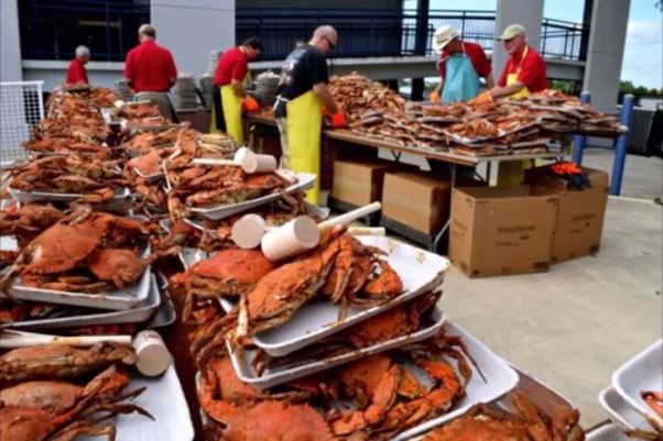 The world's largest crab feast sponsored by the Rotary Club of Annapolis returns to Navy-Marine Corps Memorial Stadium from 5-8 p.m. on Friday. (Photo: Rotary Club of Annapolis)
