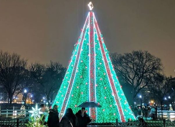 The National Christmsas tree decorated in green lights with ribbons made from red lights running vertically and topped by a white star. (Photo: njpostil/Instagram)