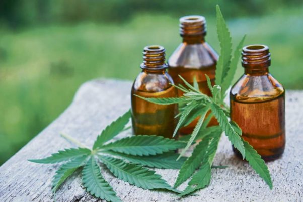 Some marijuana leaves lying on a table next to 3 bottles of CBD oil. (Photo: iStock Photo)