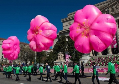 Marchers going past the National Archives dressed in green t-shirts pull three cherry blossom balloons. (Photo: National Cherry Blossom Festival)