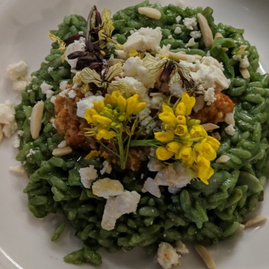 Dish & Dram's nettle risotto in a white bowl topped with toasted almond slivers and local edible baby yellow flowers. (Photo: The Dish & Dram)
