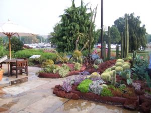 One of the gardens from Gardens Across America that includes cacti. (Photo: U.S. Botanic Garden) 