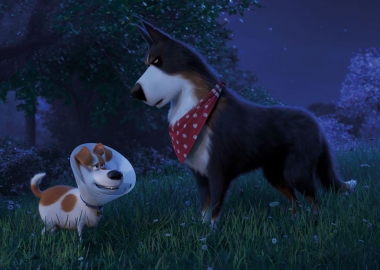 Max (Patton Oswald) and Rooster (Harrison Ford) meet on the farm. (Photo: Universal Pictures)