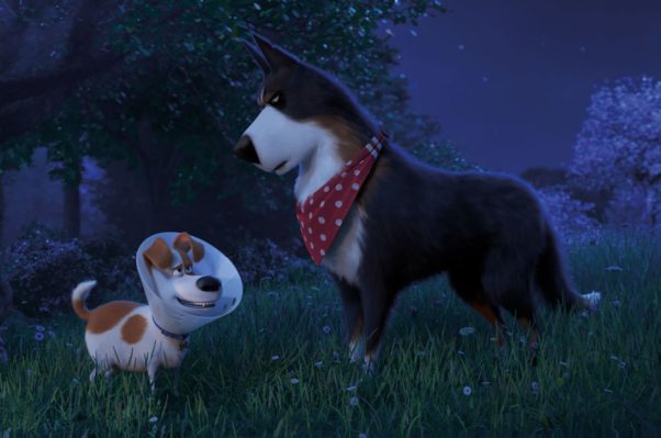 Max (Patton Oswald) and Rooster (Harrison Ford) meet on the farm. (Photo: Universal Pictures)