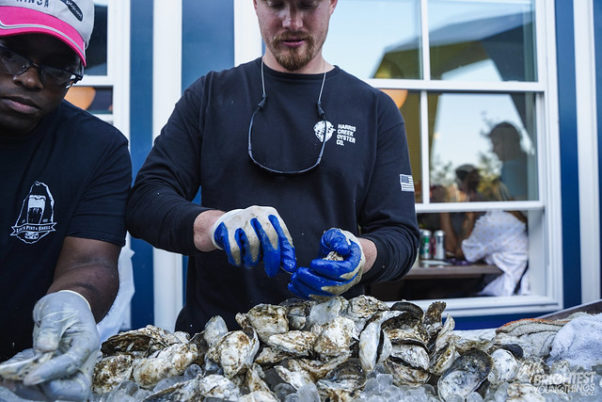 Two men shucking oysters while wearing gloves at Oyster Wars. (Photo; BYT)
