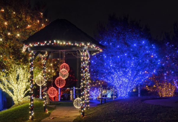 A gazebo and trees at Cameron Run decorated in lights. (Photo: Nova Parks)