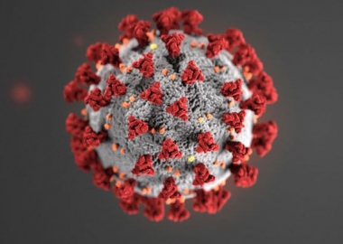 A closeup of the COVID-19 coronavirus. (Photo: U.S. Centers for Disease Control and Prevention)