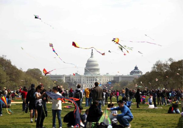 People flying kites at the Washington Monument with the US Capitol in the background. (Photo: National Cherry Blossom Festival)