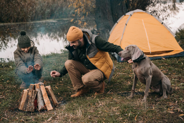 Son and father making a bonfire at a campsite with their dog watching. (Photo: Dreamstime)