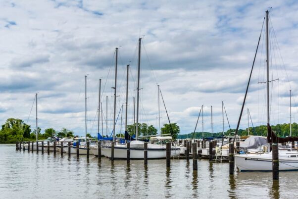 Rows of sailboats docked at the Havre de Grace Marine Center. (Photo: Jon Bilous/Shutterstock)