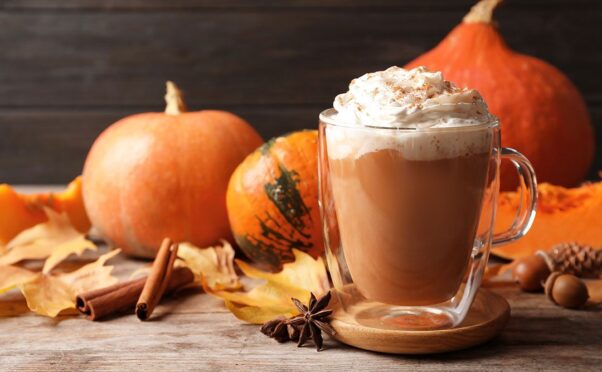 A pumpkin spice latte in a clear mug topped with whipped cream sits on a table with pumpkins and leaves. (Photo: Contributed)
