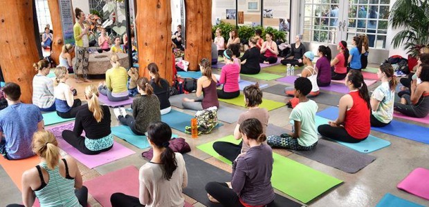 Practice yoga among the plants at the U.S. Botanical Gardens (Photo: WithLoveDC)